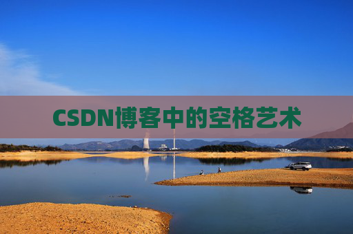 CSDN博客中的空格艺术